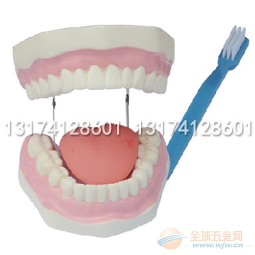 探秘磁力世界 幼兒園科學(xué)實(shí)驗(yàn)器材批發(fā)指南